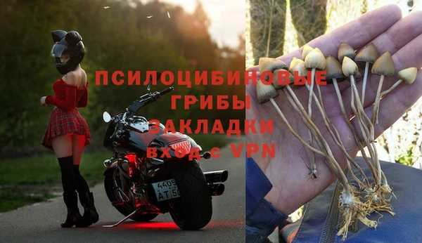 каннабис Алзамай