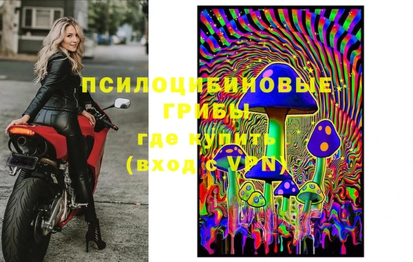 каннабис Алзамай
